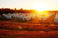 坝上秋来风景异 ——乌兰布统秋摄行