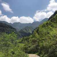 游金佛山：雾中金佛山和天星小镇，犹如仙境一般~