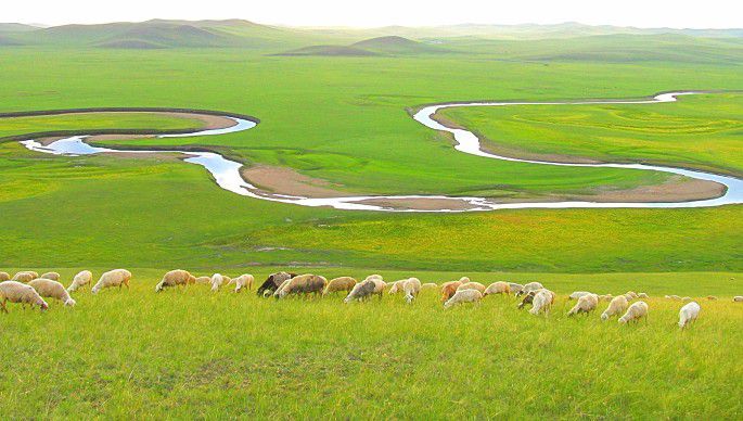 莫日格勒河 (2).jpg