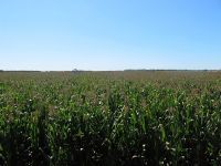 穿行在松嫩平原上