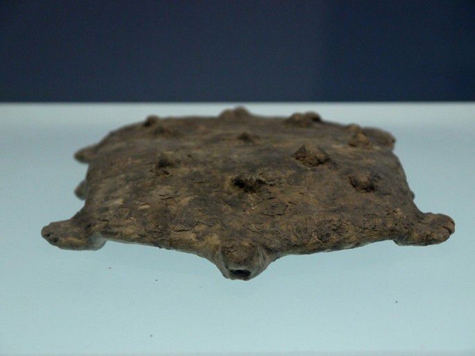 崧泽文化陶龟（南河浜遗址）.JPG