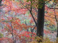 07国庆丹东行之二___天桥沟,青山沟