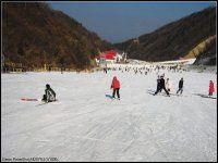 伏牛山滑雪——兜兜05初冬记