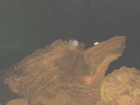 查看照片详细信息 天下民宿