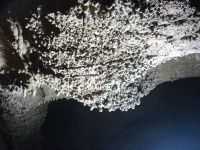 查看照片详细信息 天下民宿