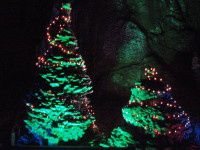 查看照片详细信息 天下民宿