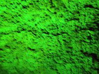 查看照片详细信息 天下民宿