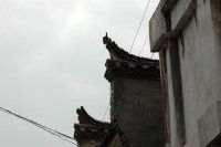 【原创】三港一桥沿江行 水网行九