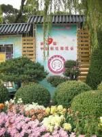 全国第九届菊花展