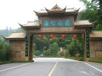 游四川自贡蜀南竹海