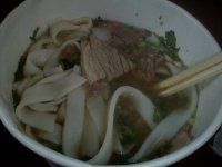 凤凰游记——5月12日