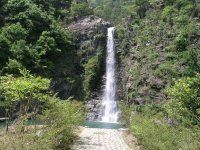 泰顺廊桥游记——07年4月19日