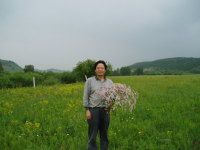 坝上草原探幽之二-------採摘干枝梅