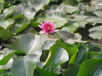 北大清华校园游