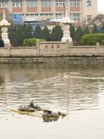 静心厦门的放松之旅-4