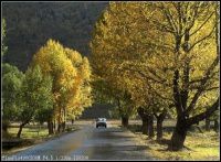 梦萦垭口（四）折多山垭口