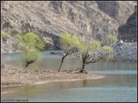 早春的幽州峡谷