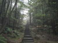 缙云山小试牛刀