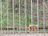 意料之外的神农架