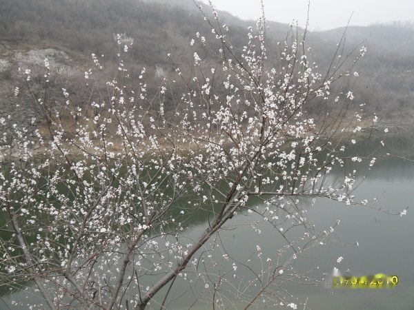 查看照片详细信息 天下民宿