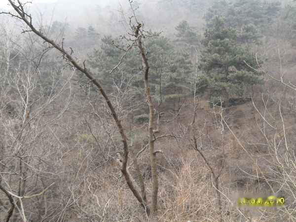 查看照片详细信息 天下民宿