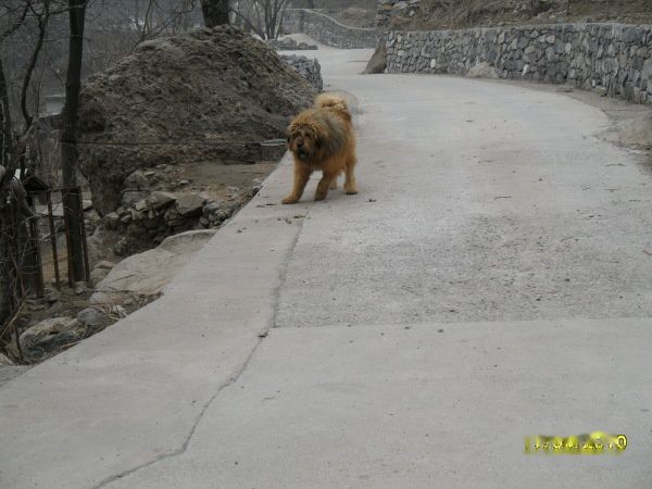 查看照片详细信息 天下民宿
