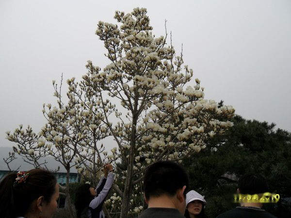 查看照片详细信息 天下民宿