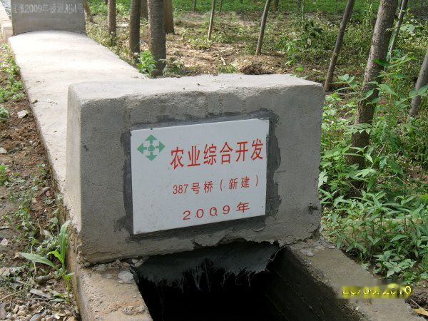 天下民宿