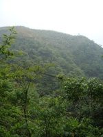 浙江安吉两日游