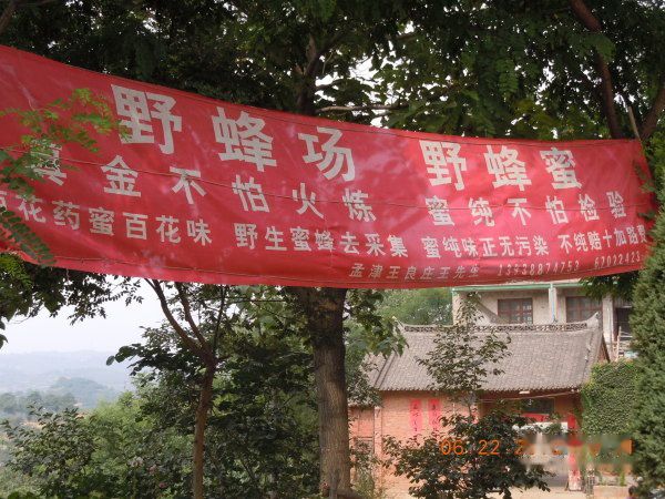 天下民宿