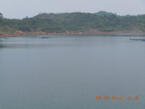天下民宿