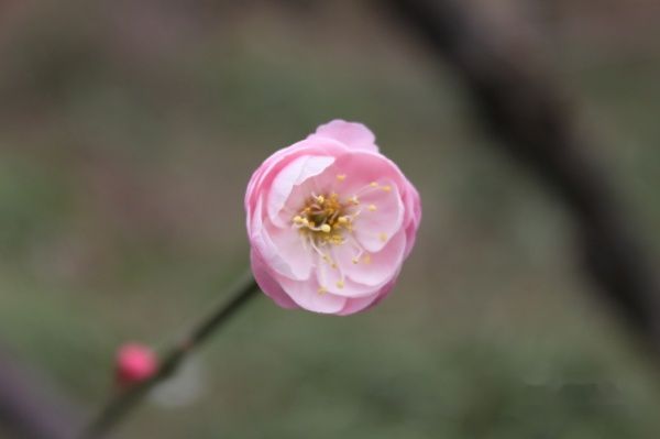 查看照片详细信息 天下民宿