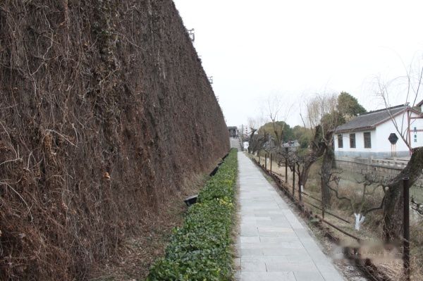 查看照片详细信息 天下民宿