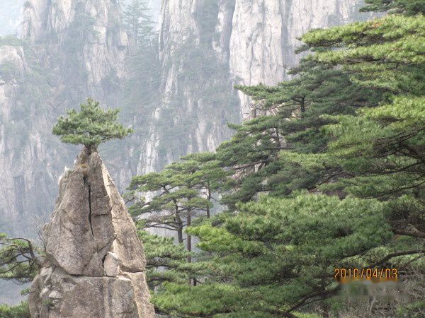 天下民宿