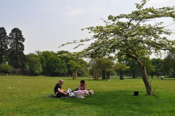 查看照片详细信息 天下民宿