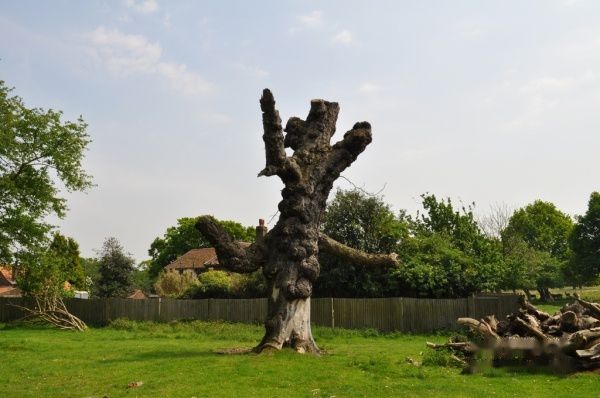 查看照片详细信息 天下民宿