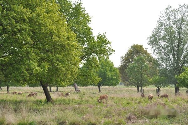 查看照片详细信息 天下民宿
