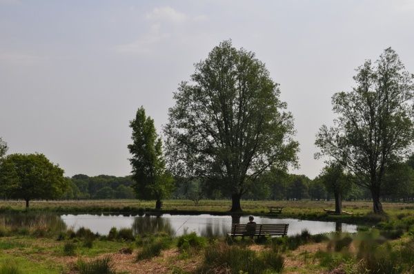 查看照片详细信息 天下民宿