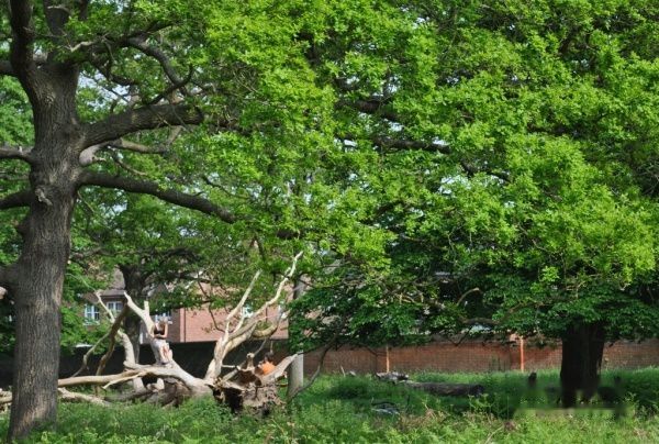 查看照片详细信息 天下民宿