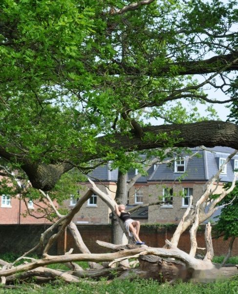 查看照片详细信息 天下民宿