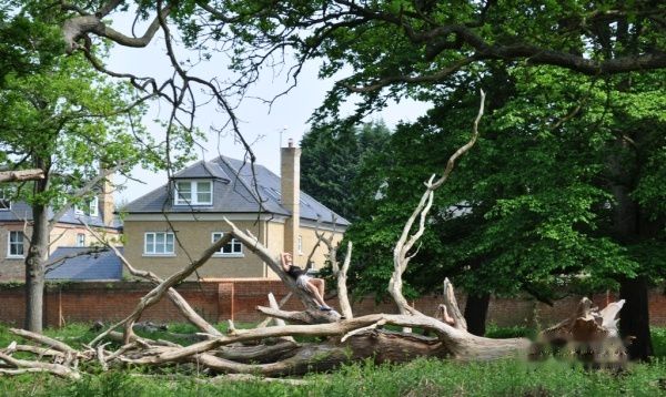 查看照片详细信息 天下民宿