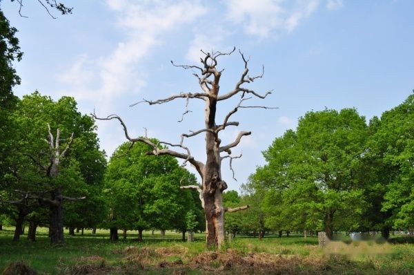 查看照片详细信息 天下民宿