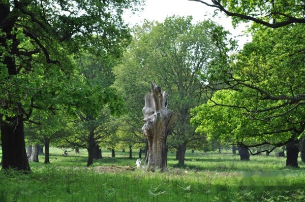 查看照片详细信息 天下民宿