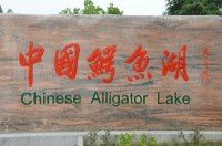 安徽省~宣城市-中国鳄鱼湖-敬亭山风景区自助游。