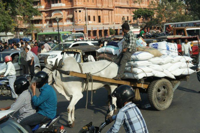 查看照片详细信息 天下民宿