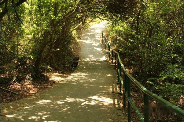 南丫岛景点图片