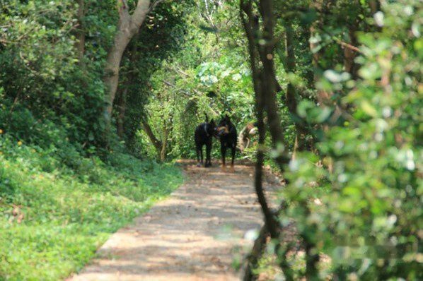 南丫岛景点图片