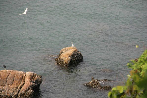 南丫岛景点图片