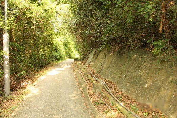 南丫岛旅游攻略图片