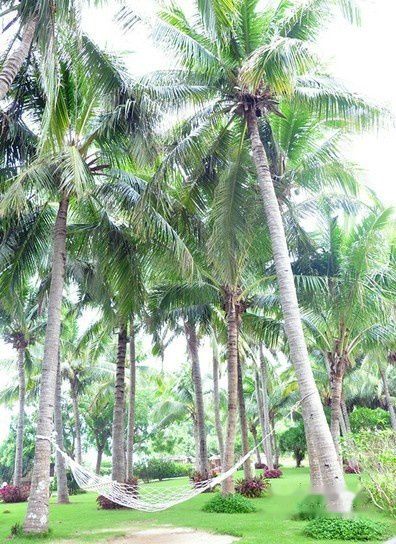 三亚旅游攻略图片